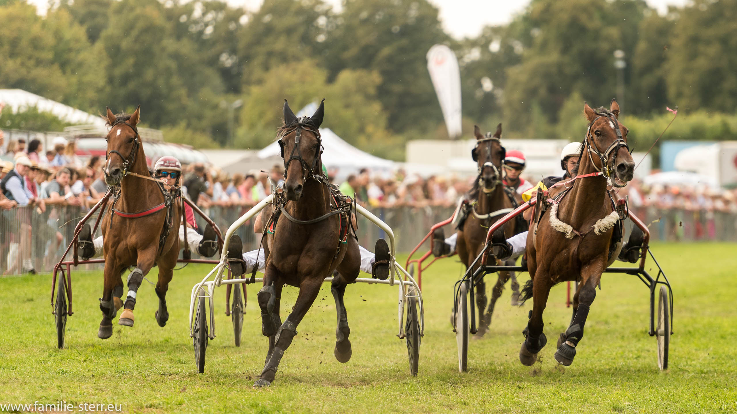 Trabrennen in Erding 2017